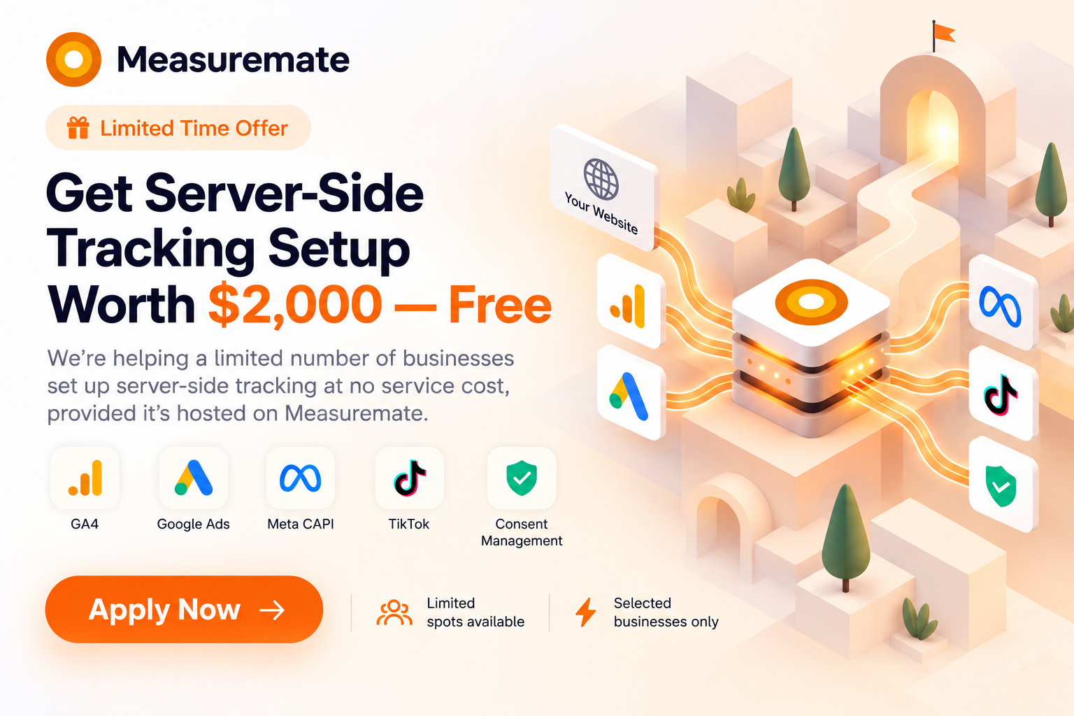 Limited time offer: get server-side tracking setup worth $2,000 for free. Apply now.